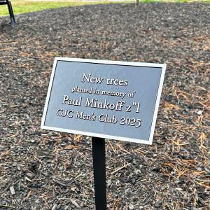 Click to Enlarge New Trees