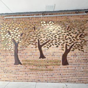 Click to Enlarge Outdoor Grove