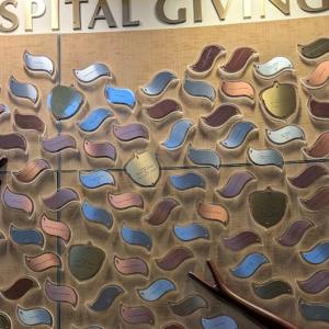 Click to Enlarge Acorn